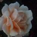 Cathy Granger - Facebook