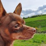 Catherine Grassick - @grassickcatherine - Instagram