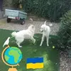 catherinegregson6 - @catherinegregson6 - TikTok