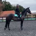 Catherine Grimes - @catherinegrimes134 - Instagram