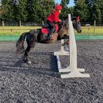 Catherine Grimes - @equicatherine.kimba_ - Instagram
