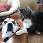 Catherine Hahn - @chahn28 - Instagram