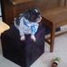 Catherine Halverson - Facebook