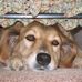 Cathy Halverson - Facebook