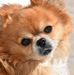 Catherine Happe - Facebook