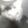 Catherine - @catherine.harvey - TikTok