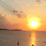 Catherine Harvey - @catherineharvey1955 - Instagram