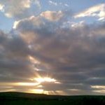 Catherine Harvey - @catherineharvey1085 - Instagram