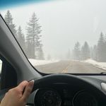 Catherine Hatch - @catherinehatch586 - Instagram