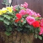 catherine hatch - @catherinehatch - Instagram