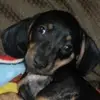 Catherine Hatch - @catherine.hatch1 - TikTok