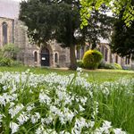 St Catherine's Hatcham - @stcatherinehatcham - Instagram