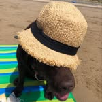 Catherine Headley - @katemaryhead - Instagram