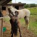 Catherine Heard - Facebook