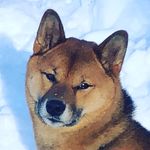 Catherine Heard - @thedailyoskar - Instagram