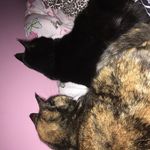 Catherine Hearn - @kittenarecute_xx - Instagram