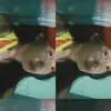 CATHERINE HELLENN - @catherine.hellenn - TikTok
