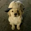 Cthrinnn - @catherine.hellen21 - TikTok