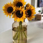 Catherine Hoffman - @girl.ate - Instagram