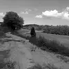 catherine_horan - @catherine_horan - TikTok