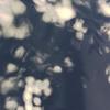 catherine hou - @catherine.hou02 - TikTok