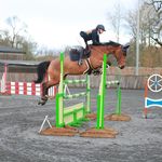 Catherine Housman - @catherine_housman_sj - Instagram
