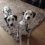 Catherine Hughson - @hughson.catherine - Instagram