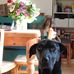 Catherine Ingham - Facebook