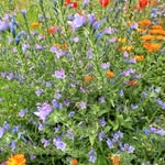 Catherine Irving - @catherinefirving - Instagram