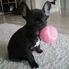 catherineitommyr - @catherineitommyr - TikTok