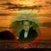 Catherine Jacobs - Facebook