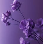 Catherine Jansen - Facebook