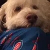 catherinekappock - @catherinekappock - TikTok