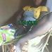 Catherine Kassa - Facebook