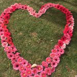 Catherine Kavanagh - @cathyqk - Instagram