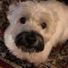Catherine Kavanagh - @catherine.kavanag2 - TikTok