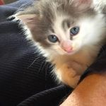 Catherine Keane - @catherine.keane.54 - Instagram