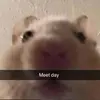 Katherine Kite - @chattiestkathy - TikTok