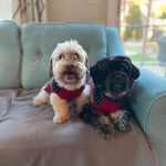 Catherine Clay Kline - @catherineclaykline - Instagram