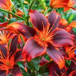 Catherine Kline - @ck.healthwellness - Instagram