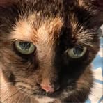 Catherine Palmer Knauer - Facebook