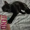 Catherine - @catherine.knights1 - TikTok