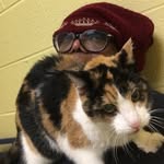 Catherine Knights - @knights.catherine - Instagram