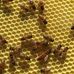 Catherine Knutson - Facebook