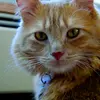 Katherine Knutson - @katicat1621 - TikTok
