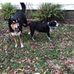 Catherine Koch - Facebook