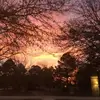 catherinekoontz214766 - @catherinekoontz214766 - TikTok