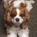 Catherine Kost - Facebook