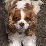 Catherine Kost - @kostcatherine - Instagram