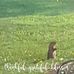 Catherine Krajewski - Facebook